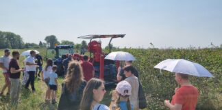 Nowe możliwości sprzedaży aronii – podsumowanie dni otwartych