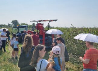 Nowe możliwości sprzedaży aronii – podsumowanie dni otwartych