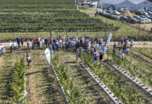 Wykłady, dyskusje i praktyka. Malinowe Factory 2024 już za nami