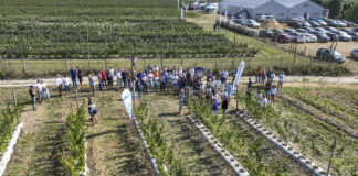 Wykłady, dyskusje i praktyka. Malinowe Factory 2024 już za nami