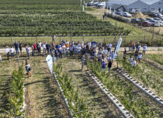 Wykłady, dyskusje i praktyka. Malinowe Factory 2024 już za nami