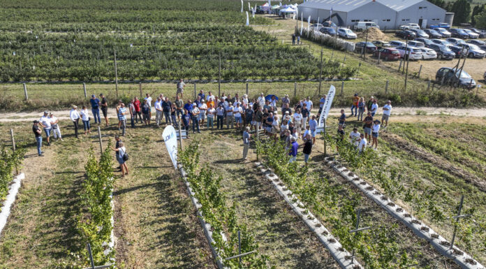 Wykłady, dyskusje i praktyka. Malinowe Factory 2024 już za nami