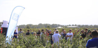 Owoce premium, nowe odmiany i technologie uprawy borówki. To było na Borówkowym Factory 2024