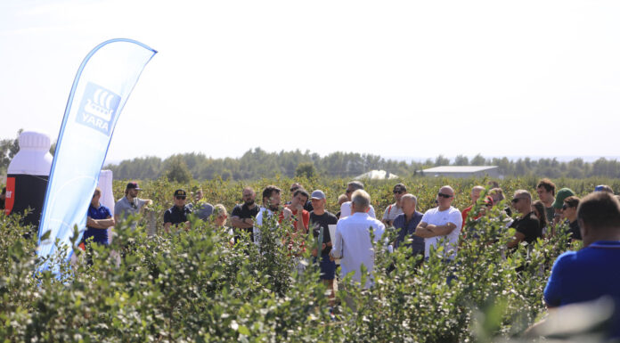 Owoce premium, nowe odmiany i technologie uprawy borówki. To było na Borówkowym Factory 2024