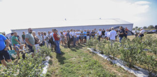 Borówkowe Factory 2025 – podsumowanie sezonu i ocena doświadczeń