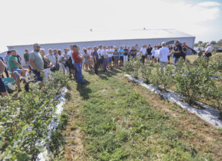 Borówkowe Factory 2025 – podsumowanie sezonu i ocena doświadczeń