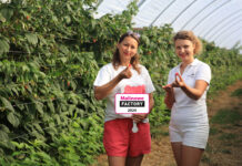 Do zobaczenia 30 odmian malin w jednym miejscu