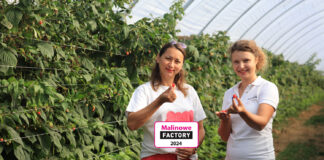 Do zobaczenia 30 odmian malin w jednym miejscu