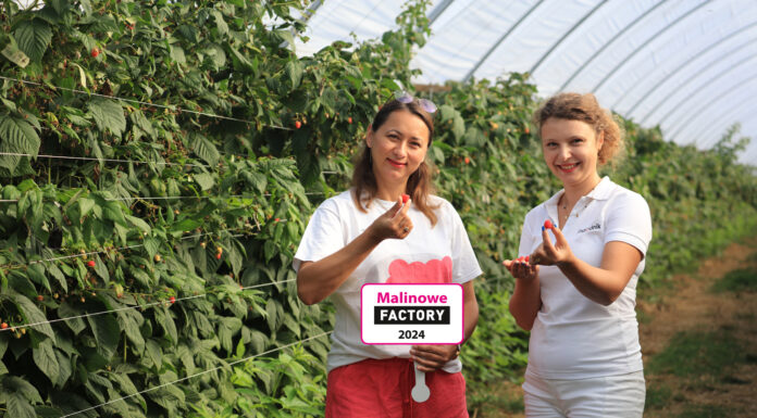 Do zobaczenia 30 odmian malin w jednym miejscu