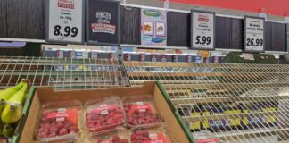 Ceny malin w połowie września? Sprawdziliśmy ceny