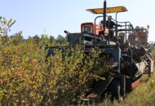 Sezon daleki od oczekiwań