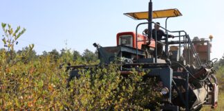 Sezon daleki od oczekiwań