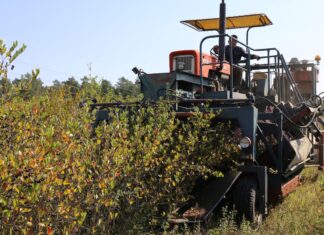 Sezon daleki od oczekiwań