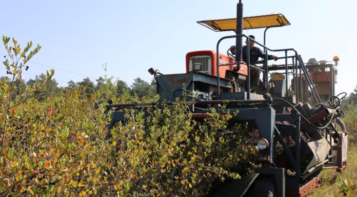 Sezon daleki od oczekiwań