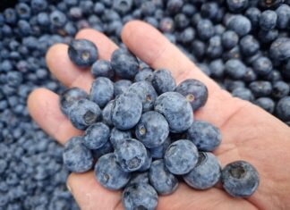 Dlaczego Julietta jest tak skuteczna i wyróżnia się na tle innych produktów?