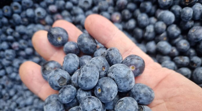 Dlaczego Julietta jest tak skuteczna i wyróżnia się na tle innych produktów?