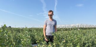 Te szokujące wyniki zmienią twoje podejście do uprawy borówki!