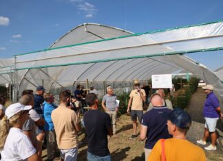 Te produkty zapewniają lepsze plonowanie malin i jeżyn – technologia węglowa