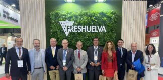 Przed sezonem truskawek w Hiszpanii: nowinki cyfrowe i obawy o brak rąk do pracy Spotkanie przedstawicieli Freshuelva z Celso Gonzálezem podczas Friut Attraction