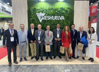 Przed sezonem truskawek w Hiszpanii: nowinki cyfrowe i obawy o brak rąk do pracy Spotkanie przedstawicieli Freshuelva z Celso Gonzálezem podczas Friut Attraction