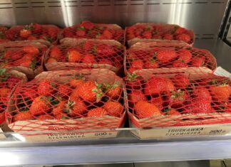 Ceny truskawki powtarzającej owocowanie w hurcie i detalu