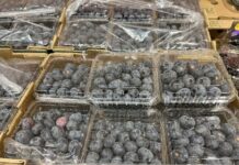 Borówki z importu na dobre zagościły w polskich sklepach. Sprawdzamy ceny