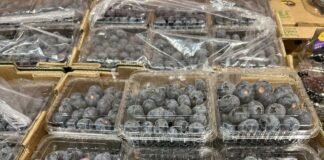 Borówki z importu na dobre zagościły w polskich sklepach. Sprawdzamy ceny
