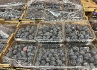 Borówki z importu na dobre zagościły w polskich sklepach. Sprawdzamy ceny