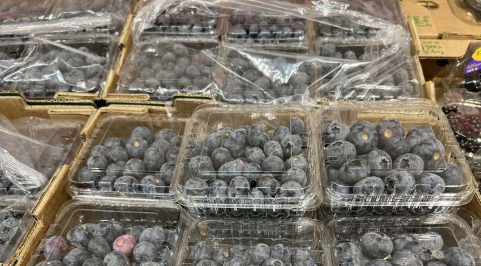 Borówki z importu na dobre zagościły w polskich sklepach. Sprawdzamy ceny