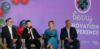 Jak rozwijać polską branżę jagodową?