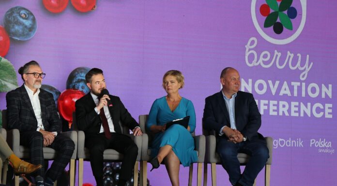 Jak rozwijać polską branżę jagodową?