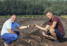 Borówki w Wielkopolsce. Regeneracja po przymrozkach i nowe nasadzenia