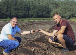Borówki w Wielkopolsce. Regeneracja po przymrozkach i nowe nasadzenia