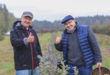 Borówka po pierwszym sezonie. Efekt robi wrażenie!