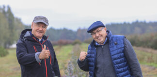 Borówka po pierwszym sezonie. Efekt robi wrażenie!