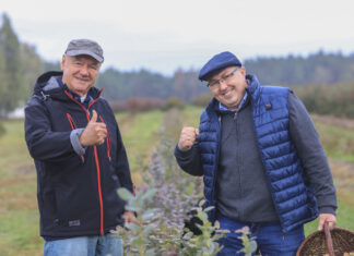 Borówka po pierwszym sezonie. Efekt robi wrażenie!