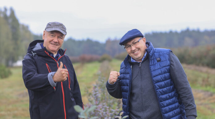 Borówka po pierwszym sezonie. Efekt robi wrażenie!