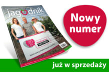 Jagodnik 7/2024 już w sprzedaży