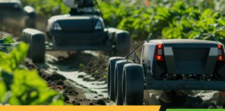 Konferencja Maszynowa na TSW 2025 – Przyszłość Nowoczesnych Technologii w Ogrodnictwie