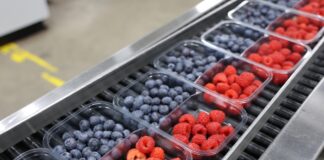 Rynek malin w Niemczech w fazie przejściowej – polskie maliny coraz ważniejsze