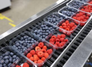 Rynek malin w Niemczech w fazie przejściowej – polskie maliny coraz ważniejsze