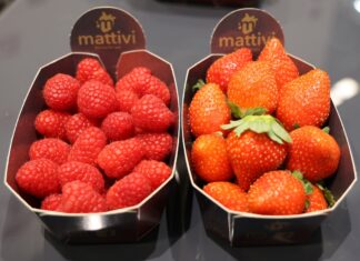 Te odmiany malin i truskawek zdobywają rynek