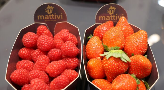 Te odmiany malin i truskawek zdobywają rynek