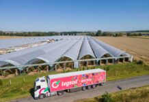 Logistyka owoców jagodowych – czy można obniżyć koszty transportu?