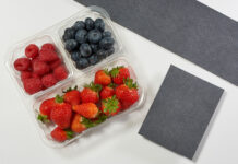 Wyższa trwałość owoców, niższa emisja CO2. Zaprezentowano ekologiczną podkładkę dla owoców jagodowych Wkładka Echo Elliott Absorbent Products