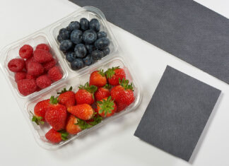 Wyższa trwałość owoców, niższa emisja CO2. Zaprezentowano ekologiczną podkładkę dla owoców jagodowych Wkładka Echo Elliott Absorbent Products