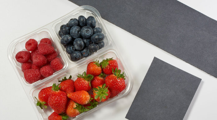 Wyższa trwałość owoców, niższa emisja CO2. Zaprezentowano ekologiczną podkładkę dla owoców jagodowych Wkładka Echo Elliott Absorbent Products