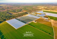 Przygotujcie się do sprzedaży truskawek i malin w sezonie 2025