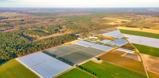 Przygotujcie się do sprzedaży truskawek i malin w sezonie 2025