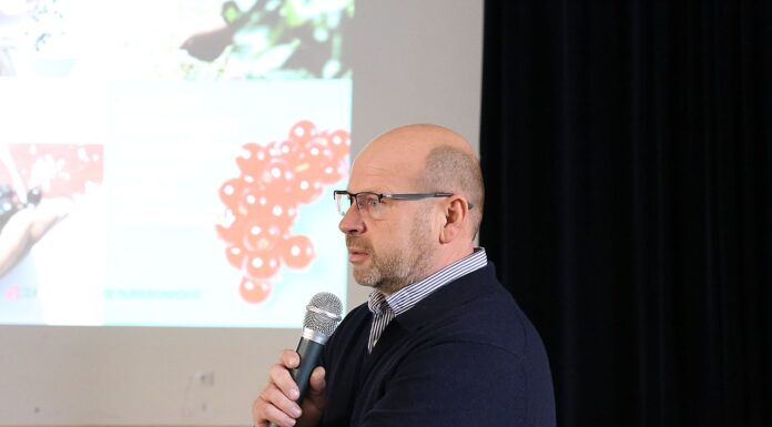 Jakie perspektywy przed uprawami porzeczki? Cz. II Polska